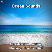 #01 Ocean Sounds for Relaxation, Bedtime, Studying, Tinnitus Relief