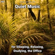 #01 Quiet Music for Sleeping, Relaxing, Studying, the Office