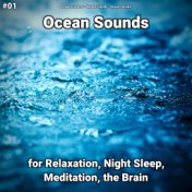 #01 Ocean Sounds for Relaxation, Night Sleep, Meditation, the Brain