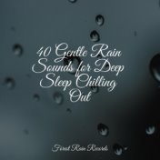 40 Gentle Rain Sounds for Deep Sleep Chilling Out