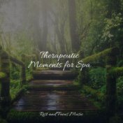 Therapeutic Moments for Spa