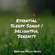 Essential Sleepy Songs | Delightful Serenity