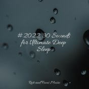 #2022 30 Sounds for Ultimate Deep Sleep