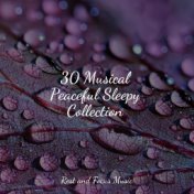 30 Musical Peaceful Sleepy Collection