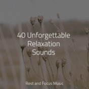 40 Unforgettable Relaxation Sounds