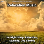 #01 Relaxation Music for Night Sleep, Relaxation, Studying, Dog Barking