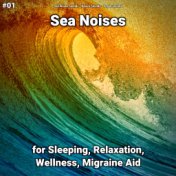 #01 Sea Noises for Sleeping, Relaxation, Wellness, Migraine Aid