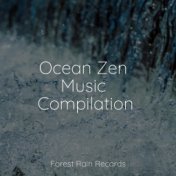 Ocean Zen Music Compilation