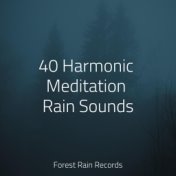 40 Harmonic Meditation Rain Sounds