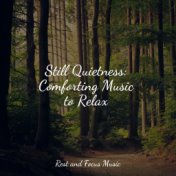 Still Quietness: Comforting Music to Relax