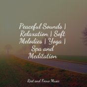 Peaceful Sounds | Relaxation | Soft Melodies | Yoga | Spa and Meditation