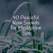 40 Peaceful Rain Sounds for Meditation Spa