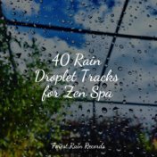 40 Rain Droplet Tracks for Zen Spa