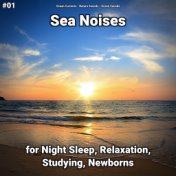 #01 Sea Noises for Night Sleep, Relaxation, Studying, Newborns