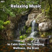 #01 Relaxing Music to Calm Down, for Sleeping, Wellness, the Brain