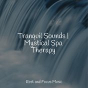 Tranquil Sounds | Mystical Spa Therapy