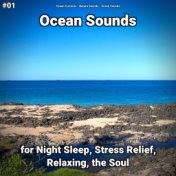 #01 Ocean Sounds for Night Sleep, Stress Relief, Relaxing, the Soul