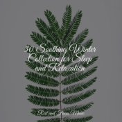 30 Soothing Winter Collection for Sleep and Relaxation