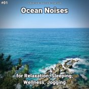 #01 Ocean Noises for Relaxation, Sleeping, Wellness, Jogging