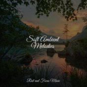Soft Ambient Melodies