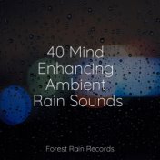 40 Mind Enhancing Ambient Rain Sounds