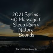 2021 Spring: 40 Massage & Sleep Rain & Nature Sounds