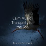 Calm Music | Tranquility for the Spa