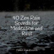 40 Zen Rain Sounds for Meditation and Rest