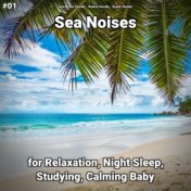 #01 Sea Noises for Relaxation, Night Sleep, Studying, Calming Baby