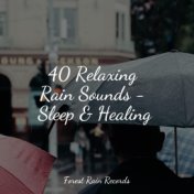 40 Relaxing Rain Sounds - Sleep & Healing