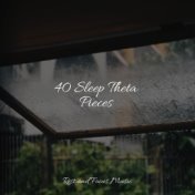 40 Sleep Theta Pieces