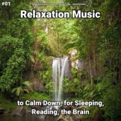 #01 Relaxation Music to Calm Down, for Sleeping, Reading, the Brain