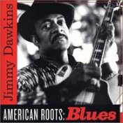 American Roots Blues