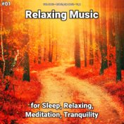 #01 Relaxing Music for Sleep, Relaxing, Meditation, Tranquility