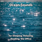 #01 Ocean Sounds for Sleeping, Relaxing, Reading, the Office