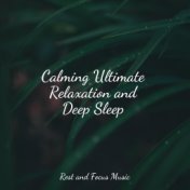 Calming Ultimate Relaxation and Deep Sleep