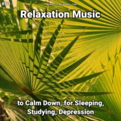 #01 Relaxation Music to Calm Down, for Sleeping, Studying, Depression