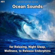 #01 Ocean Sounds for Relaxing, Night Sleep, Wellness, to Release Endorphins