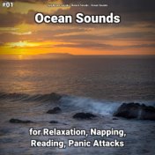 #01 Ocean Sounds for Relaxation, Napping, Reading, Panic Attacks