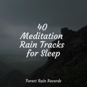 40 Meditation Rain Tracks for Sleep