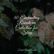 40 Enchanting Rainstorm Collection for Sleep