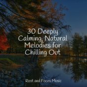 30 Deeply Calming, Natural Melodies for Chilling Out