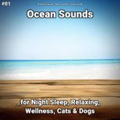 #01 Ocean Sounds for Night Sleep, Relaxing, Wellness, Cats & Dogs