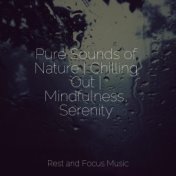 Pure Sounds of Nature | Chilling Out | Mindfulness, Serenity