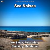 #01 Sea Noises for Sleep, Relaxation, Studying, Meditation