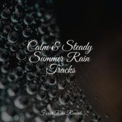 Calm & Steady Summer Rain Tracks