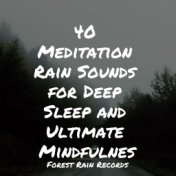 40 Meditation Rain Sounds for Deep Sleep and Ultimate Mindfulness