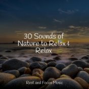 30 Sounds of Nature to Relax & Relax