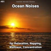 #01 Ocean Noises for Relaxation, Napping, Wellness, Concentration