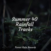 Summer 40 Rainfall Tracks